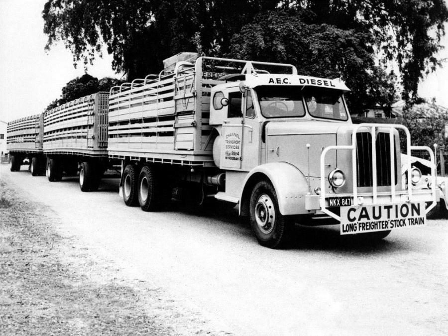  AEC Mammoth Mk III 6x4 (2631) 1956 года  (фото 5 из 5)